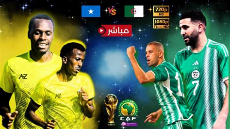 بث مباشر مباراة الجزائر ضد الصومال